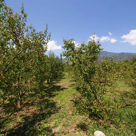 Prázdninový dům Seabreeze