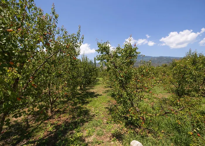 Case de vacanță Seabreeze